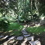 Lampara En La Colina *
